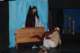 arsenico161_small.jpg